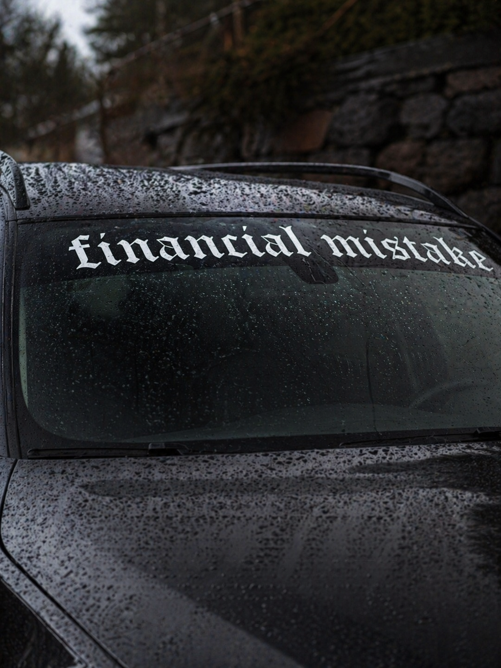 Financial Mistake – Frontrute Streamer (Solskjerm)